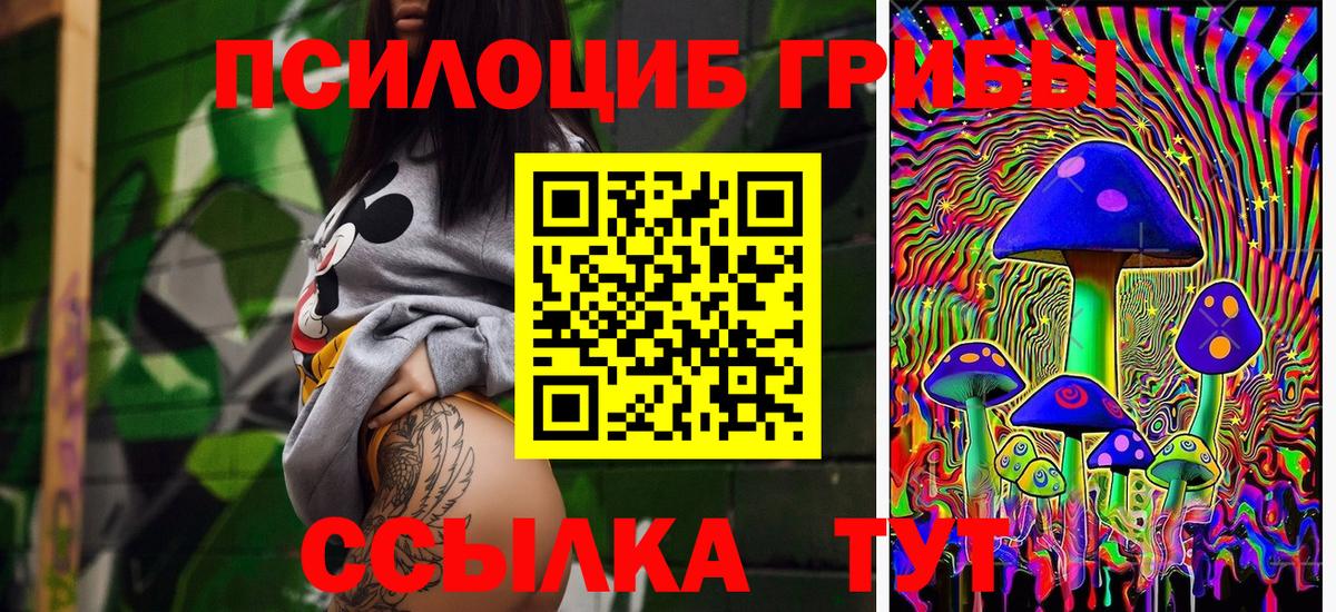 Добрянка  Галлюциногенные грибы GOLDEN TEACHER  Галлюциногенные грибы Magic Shrooms  Вход с VPN 