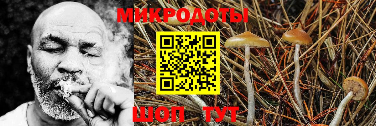 ГАШ Добрянка