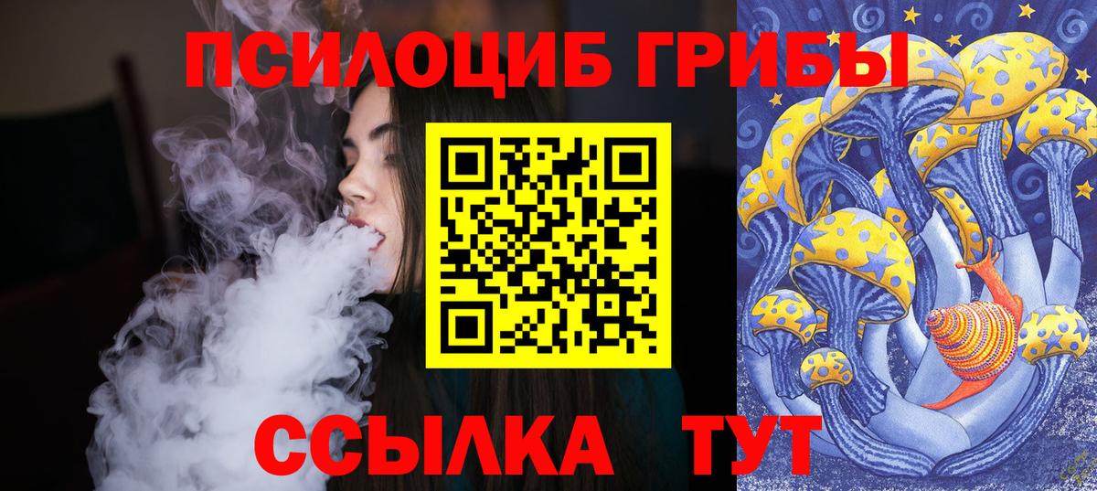 Псилоцибиновые грибы Cubensis Добрянка
